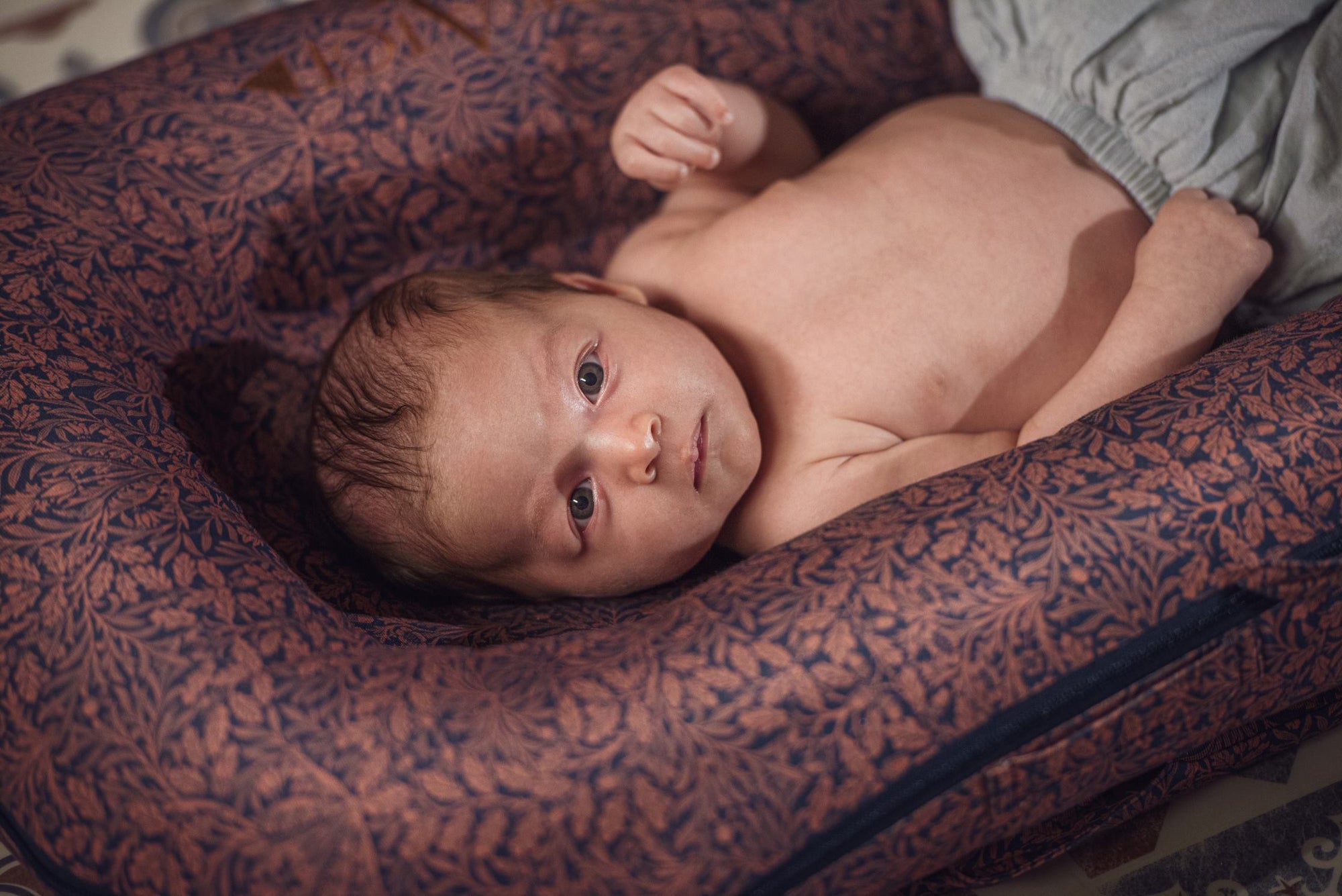 Baby lying in DockATot Deluxe+ in Acorn design